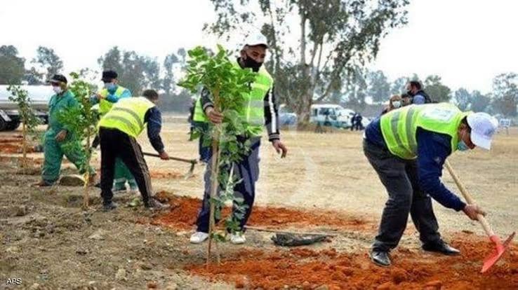 مشروع إبداع الأعمال للمقاولات