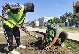 مشروع إبداع الأعمال للمقاولات